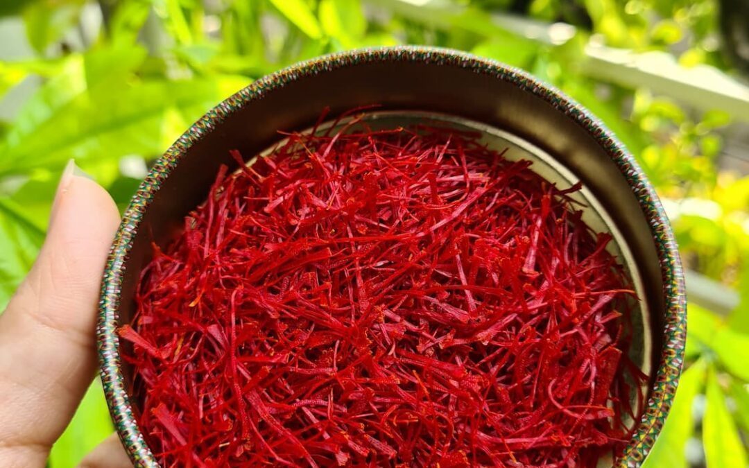 Cách Phân Biệt Saffron Bahraman Tây Á Chính Hãng Và Hàng Nhái